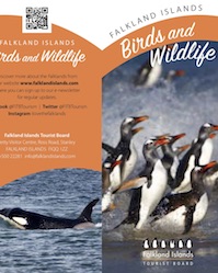 03 Activities: Birds & Wildlife